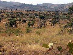 090516_Pilanesberg 180